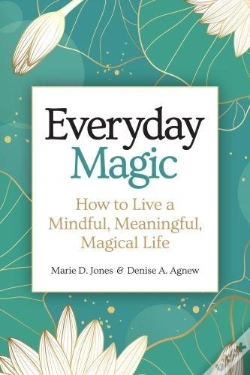 Capa do artigo Everyday Magic