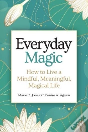 Capa do artigo Everyday Magic