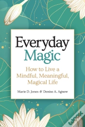 Capa do artigo Everyday Magic