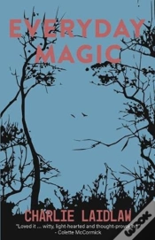 Capa do artigo Everyday Magic