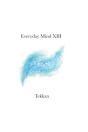 Everyday Mind Xiii - Preview