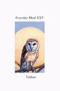 Everyday Mind Xxv - Preview