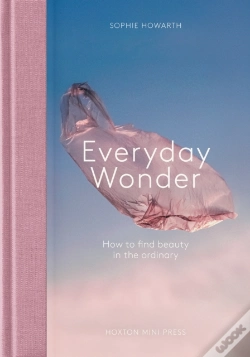 Capa do artigo Everyday Wonder