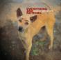 Everything and Nothing - Vinil - Preview