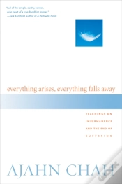 Capa do artigo Everything Arises, Everything Falls Away