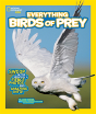 Everything Birds Of Prey - Preview