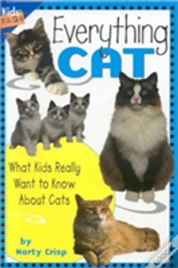 Capa do artigo Everything Cat