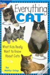 Capa do artigo Everything Cat