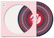 Capa do artigo Everything Changes (National Album Day 2024) (Zoetrope) - Vinil