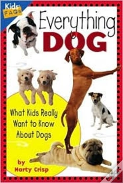 Capa do artigo Everything Dog