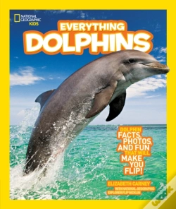 Capa do artigo Everything Dolphins