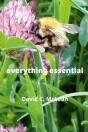 Everything Essential - Preview