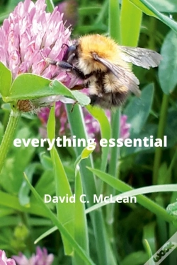 Capa do artigo Everything Essential