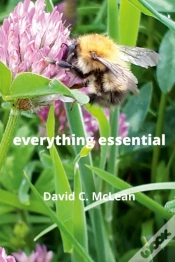 Capa do artigo Everything Essential