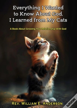 Capa do artigo Everything I Wanted To Know About God I Learned From My Cats