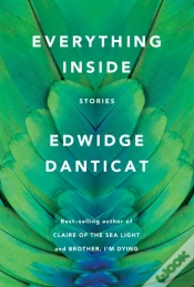 Capa do artigo Everything Inside