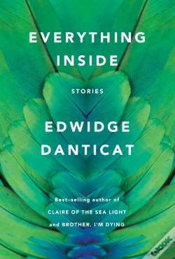 Capa do artigo Everything Inside