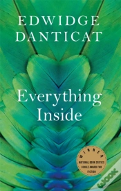 Capa do artigo Everything Inside