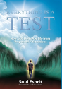 Everything Is A Test - Preview
