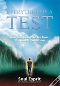 Capa do artigo Everything Is A Test