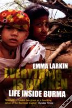 Capa do artigo Everything Is Broken