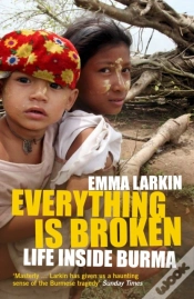 Capa do artigo Everything Is Broken