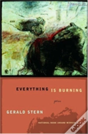 Capa do artigo Everything Is Burning