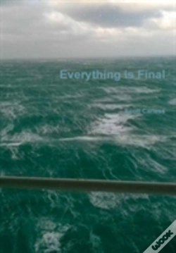 Capa do artigo Everything Is Final