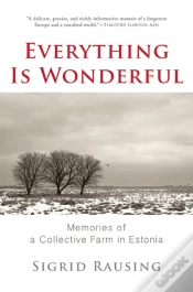 Capa do artigo Everything Is Wonderful