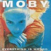 Capa do artigo Everything Is Wrong - CD