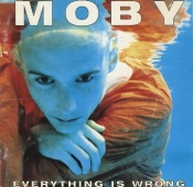 Capa do artigo Everything Is Wrong - CD