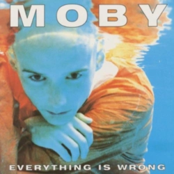 Capa do artigo Everything Is Wrong - Vinil