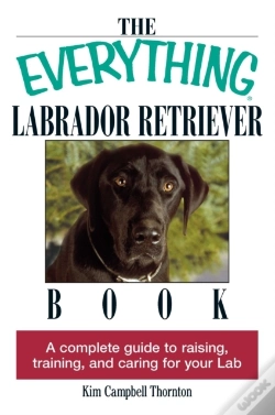 Capa do artigo Everything Labrador Retriever Book
