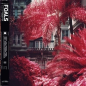 Capa do artigo Everything Not Saved Will Be Lost - CD