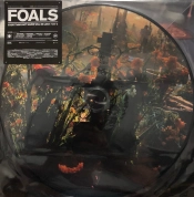 Capa do artigo Everything Not Saved Will Be Lost Part 2 - Vinil