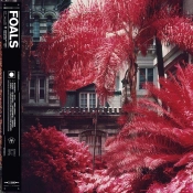Capa do artigo Everything Not Saved Will Be Lost - Vinil