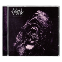 Capa do artigo Everything Rots - CD