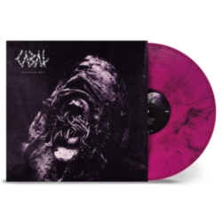 Capa do artigo Everything Rots - Vinil