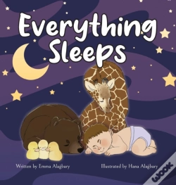 Capa do artigo Everything Sleeps