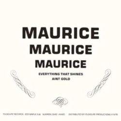 Capa do artigo Everything That Shines Ain't Gold - CD