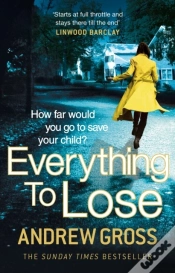 Capa do artigo Everything To Lose