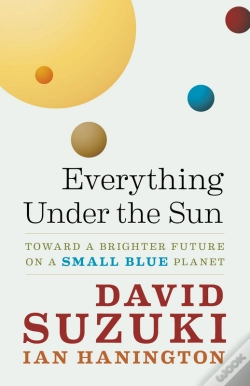Capa do artigo Everything Under The Sun