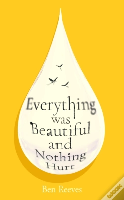 Capa do artigo Everything Was Beautiful And Nothing Hurt