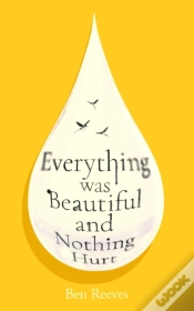 Capa do artigo Everything Was Beautiful And Nothing Hurt