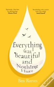 Capa do artigo Everything Was Beautiful And Nothing Hurt