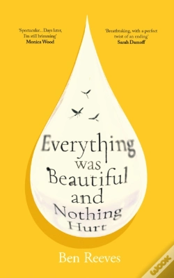 Capa do artigo Everything Was Beautiful And Nothing Hurt