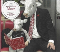 Capa do artigo Everything Was Beautiful And Nothing Hurt - CD