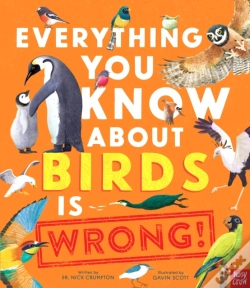 Capa do artigo Everything You Know About Birds Is Wrong!