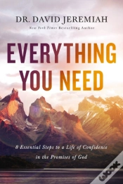 Capa do artigo Everything You Need