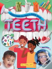 Everything You Need To Know About Teeth
